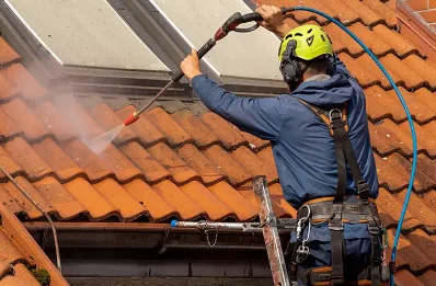 Démoussage et hydrofuge de toiture à Albertacce